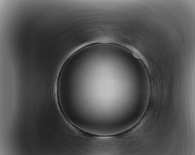 X0000088381343200705291340