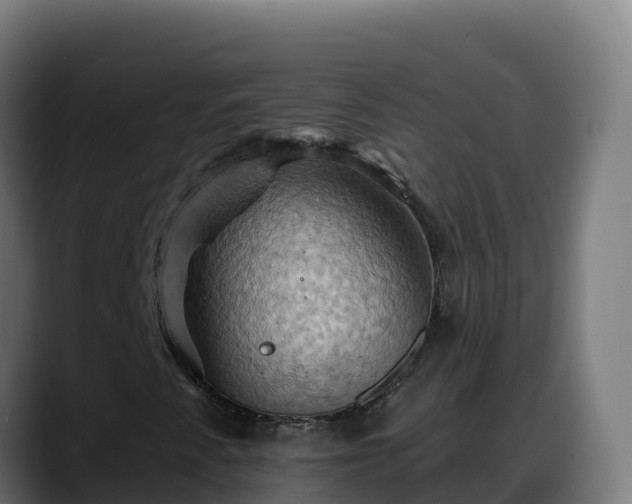 X0000088381345200705291339