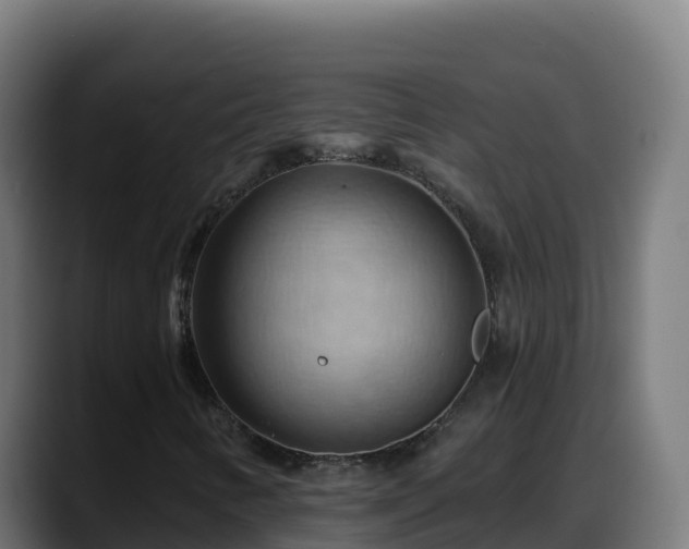 X0000088381346200705291339