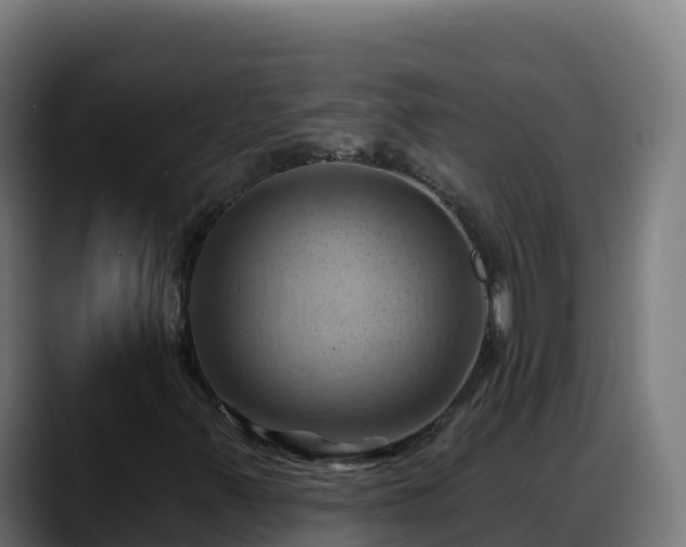 X0000088381347200705291339