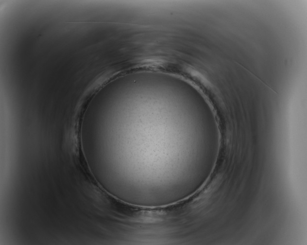 X0000088381354200705291339