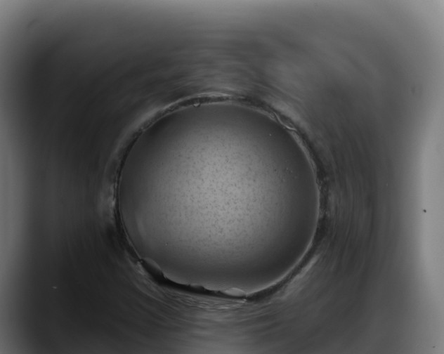 X0000088381355200705291339