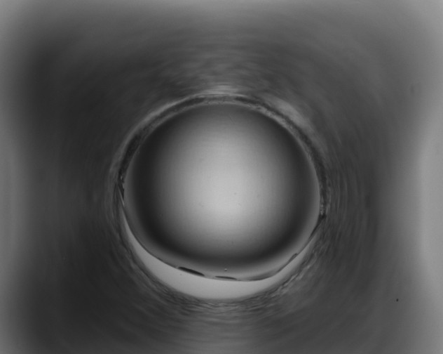 X0000088381356200705291339