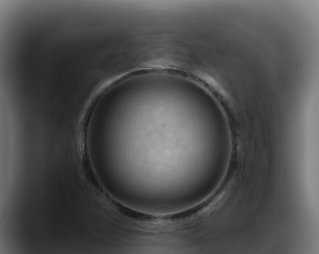 X0000088381358200705291339