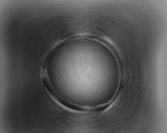 X0000088381361200705291339