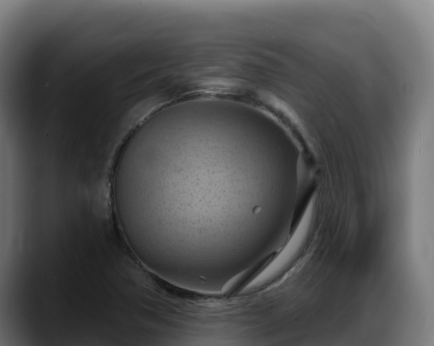 X0000088381362200705291339