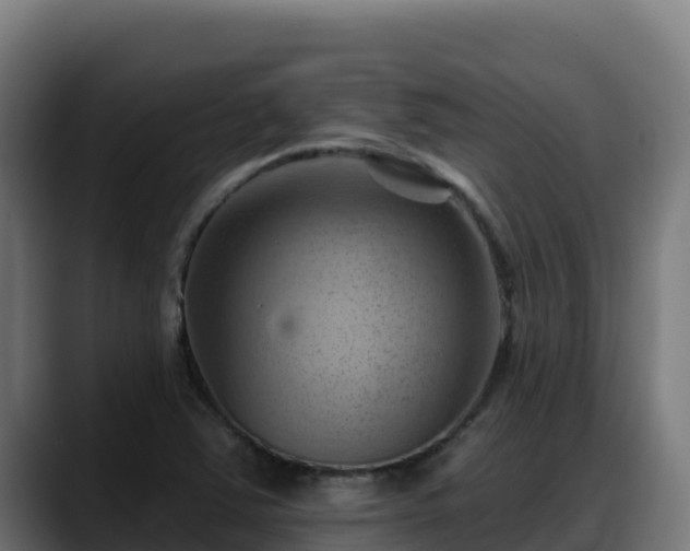 X0000088381363200705291339