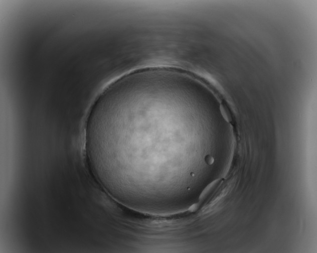 X0000088381366200705291339