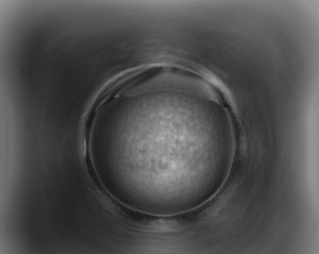 X0000088381368200705291339