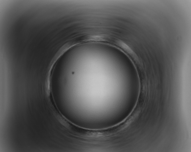 X0000088381370200705291339