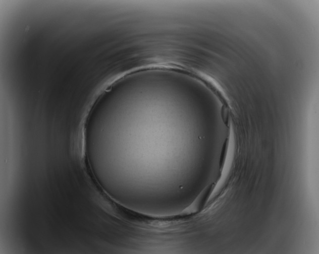 X0000088381371200705291339