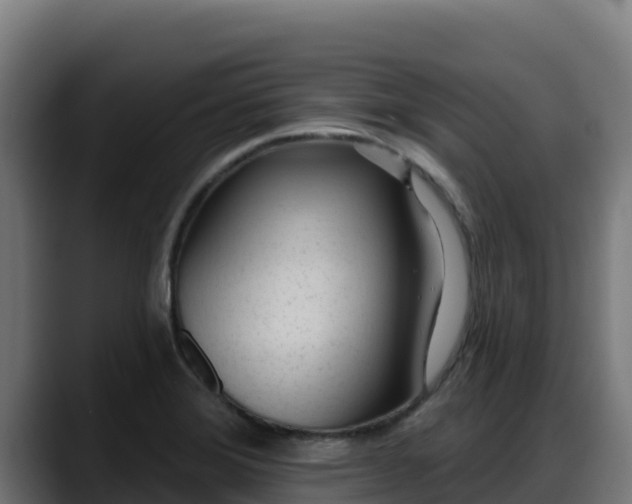 X0000088381372200705291339