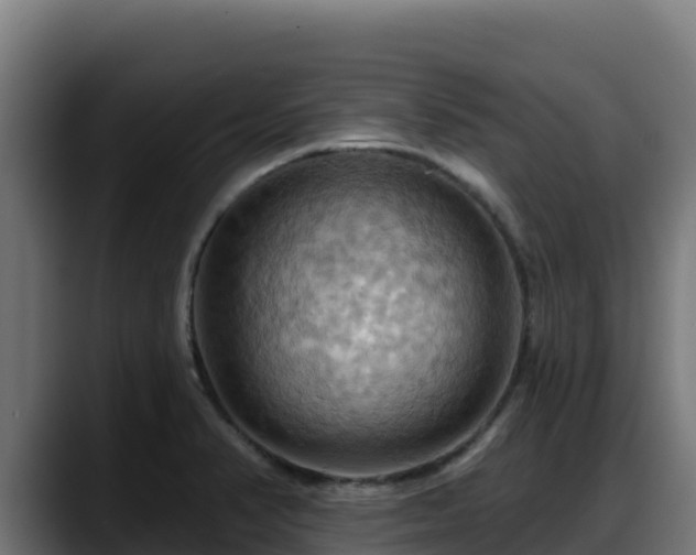 X0000088381374200705291339