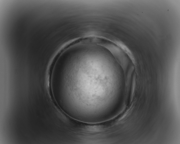 X0000088381376200705291339