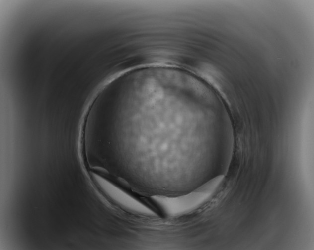 X0000088381379200705291339