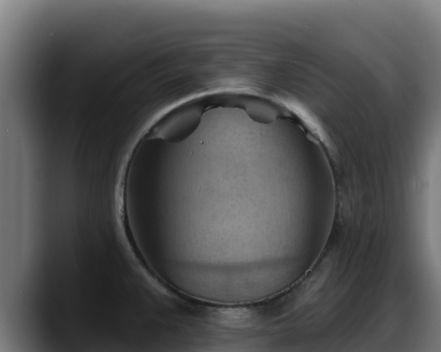 X0000088381383200705291339