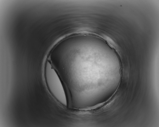 X0000088381384200705291339