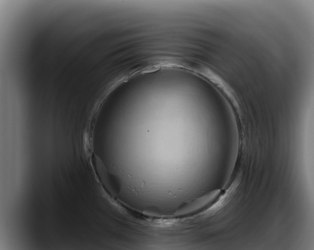 X0000088381385200705291339