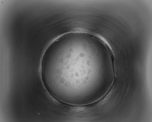 X0000088381387200705291339