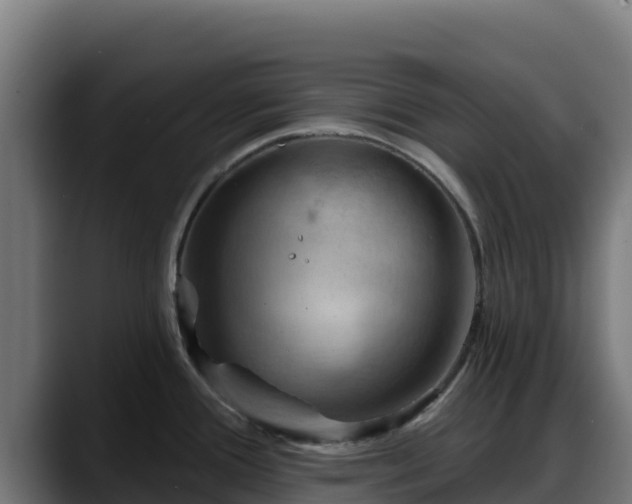 X0000088381388200705291339