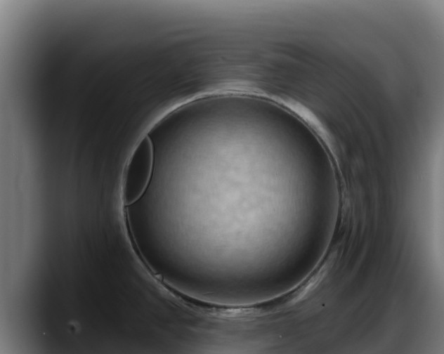 X0000088381390200705291339