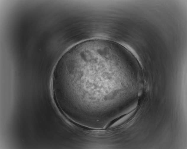 X0000088381391200705291339