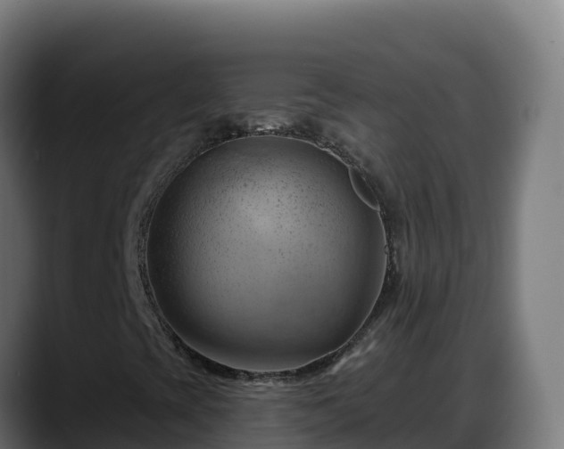 X0000088381393200705291338