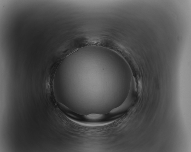 X0000088381394200705291338