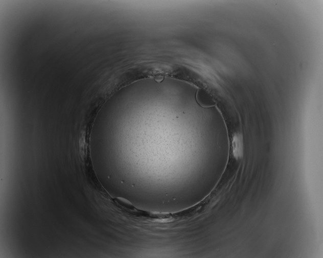 X0000088381395200705291338