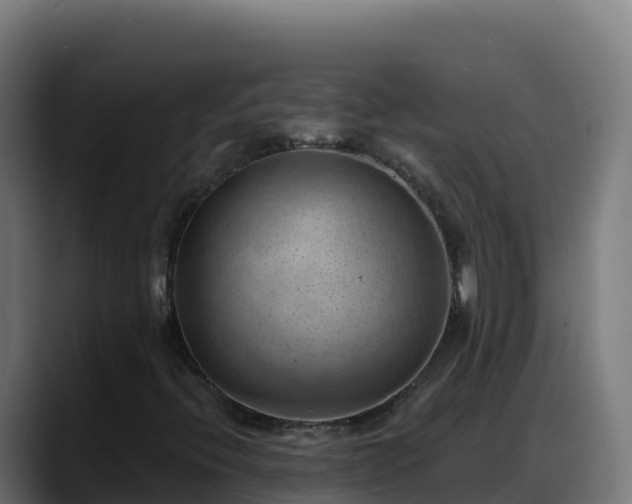 X0000088381396200705291338