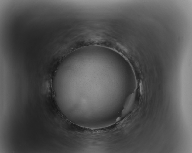 X0000088381397200705291338