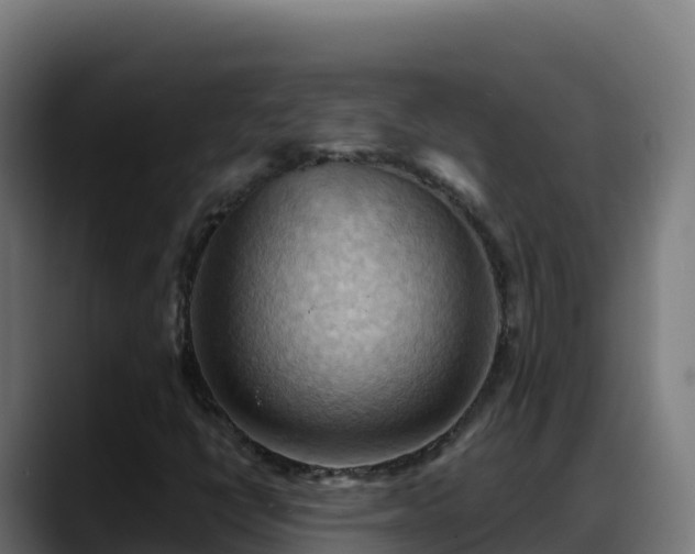 X0000088381398200705291338