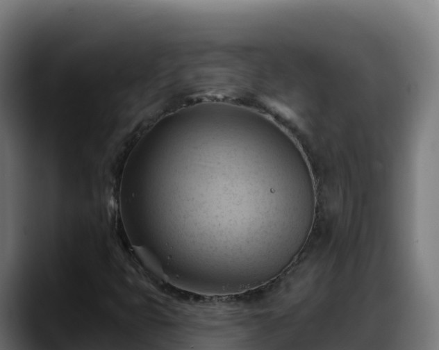 X0000088381399200705291338