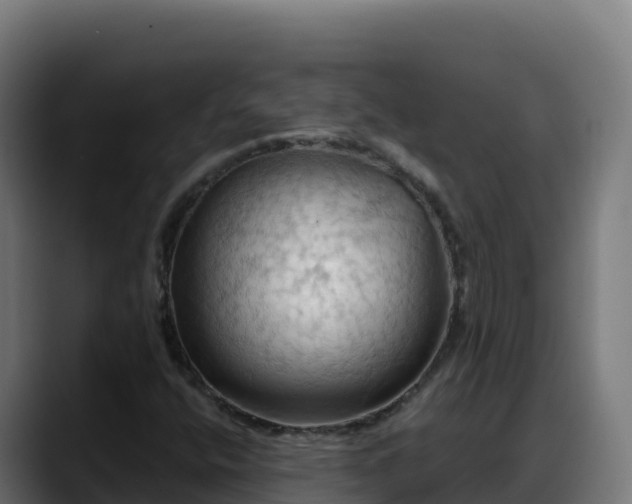 X0000088381400200705291338