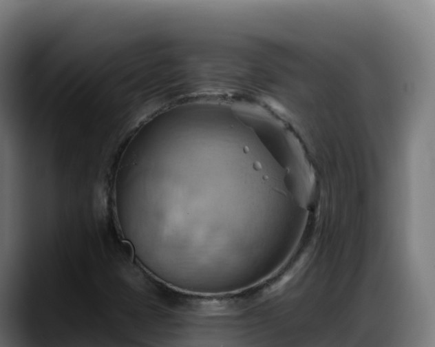 X0000088381401200705291338