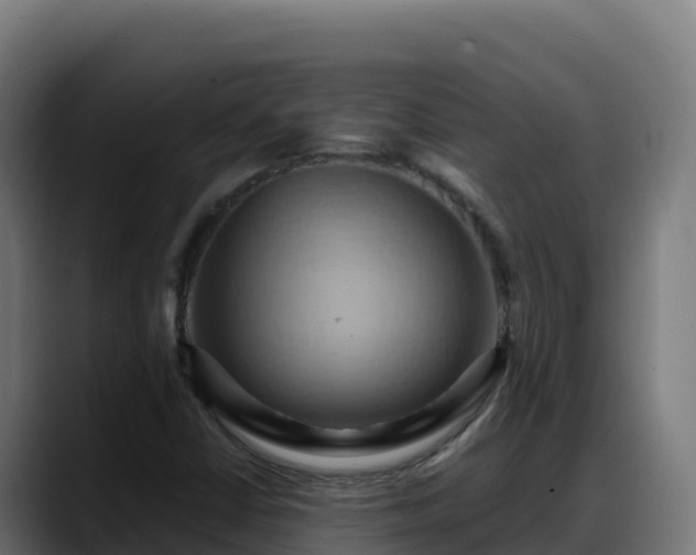 X0000088381402200705291338