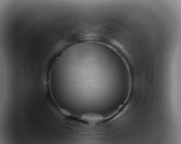 X0000088381403200705291338