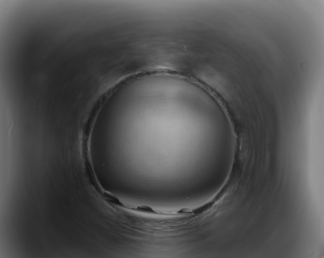 X0000088381404200705291338