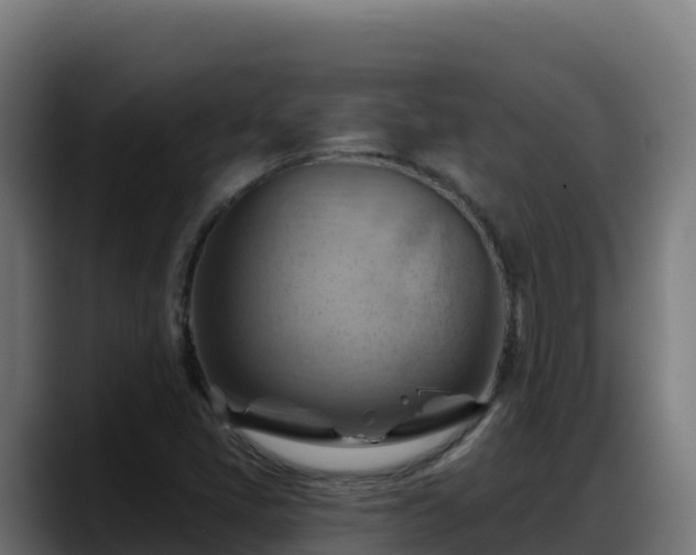 X0000088381405200705291338