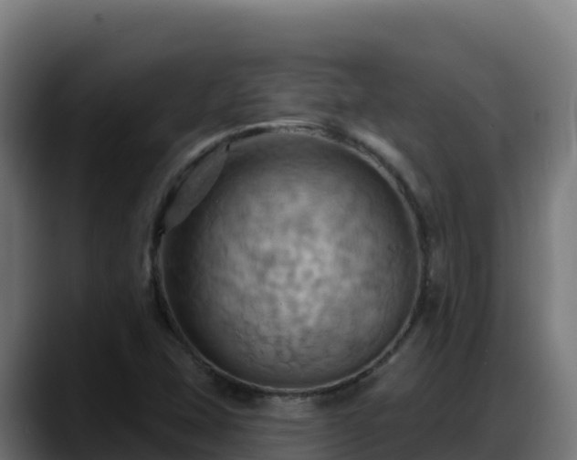 X0000088381407200705291338