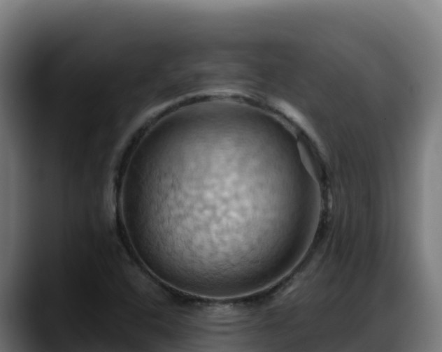 X0000088381408200705291338