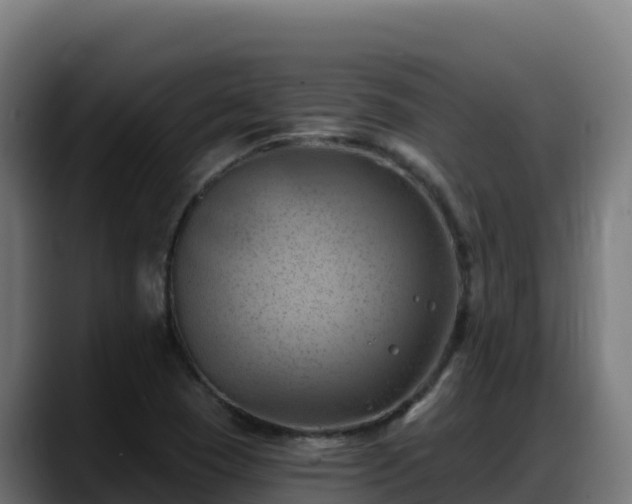X0000088381409200705291338