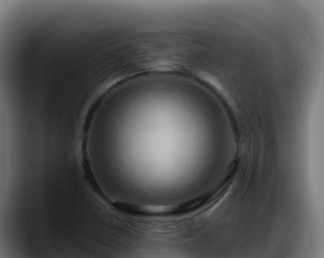 X0000088381410200705291338