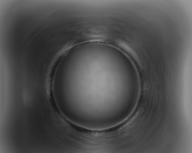 X0000088381411200705291338