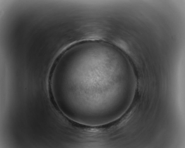X0000088381412200705291338