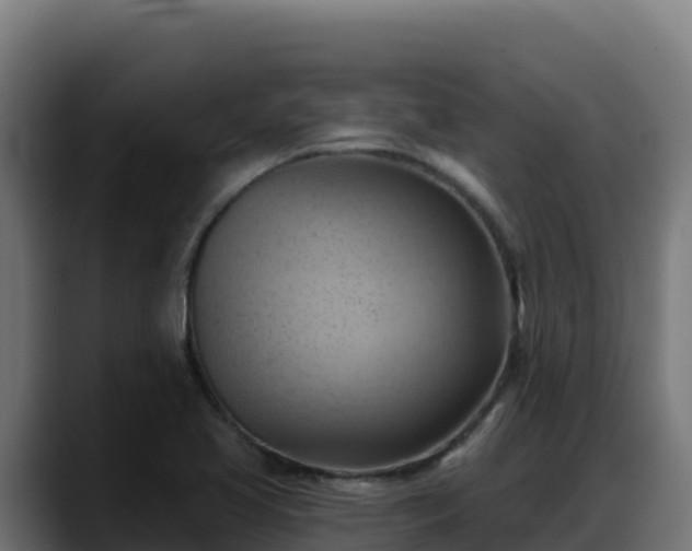 X0000088381413200705291338