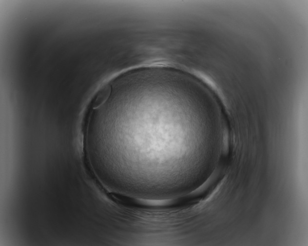 X0000088381414200705291338