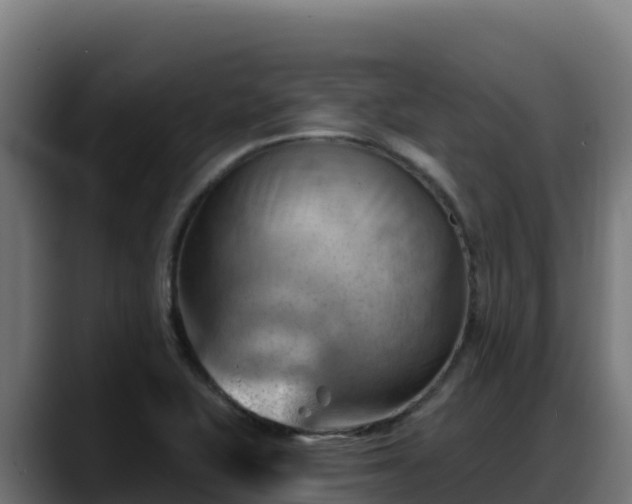X0000088381415200705291338