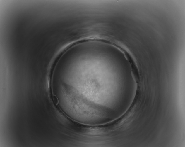 X0000088381416200705291338