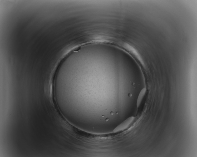 X0000088381419200705291338